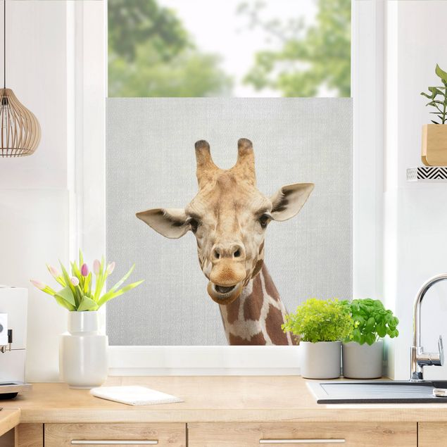 Klebefolie Fenster Giraffe Gundel