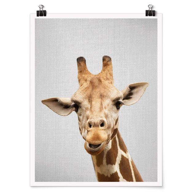 Bilder Giraffe Gundel