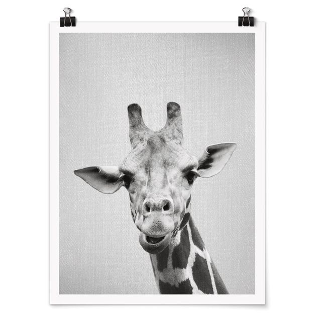 schöne Bilder Giraffe Gundel Schwarz Weiß