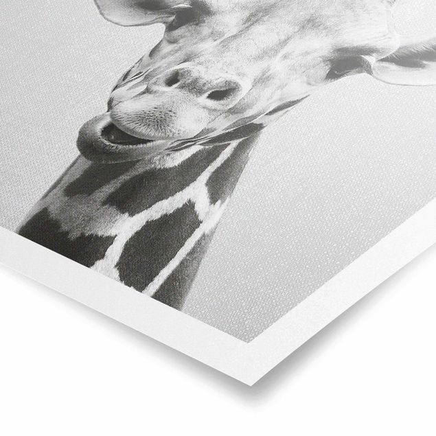 Poster kaufen Giraffe Gundel Schwarz Weiß