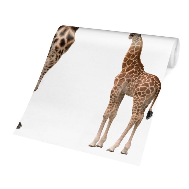 Fototapete - Giraffe Mutter und Kind