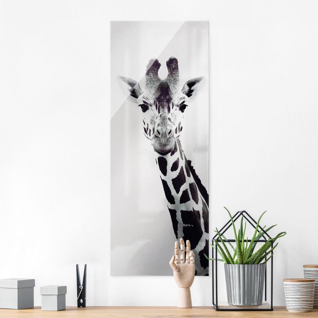 Glasbilder XXL Giraffen Portrait in Schwarz-weiß