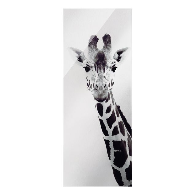 Glasbilder Giraffen Portrait in Schwarz-weiß