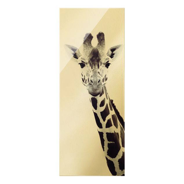 Glasbilder Giraffen Portrait in Schwarz-weiß