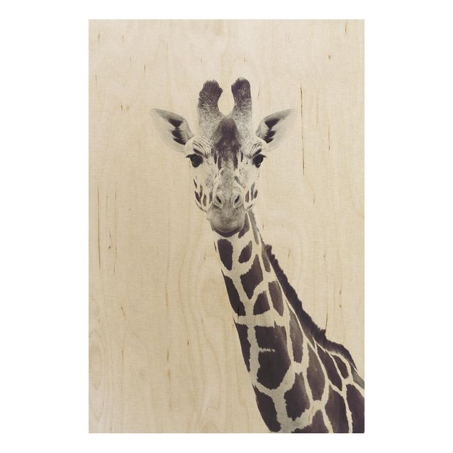 Bilder auf Holz Giraffen Portrait in Schwarz-weiß