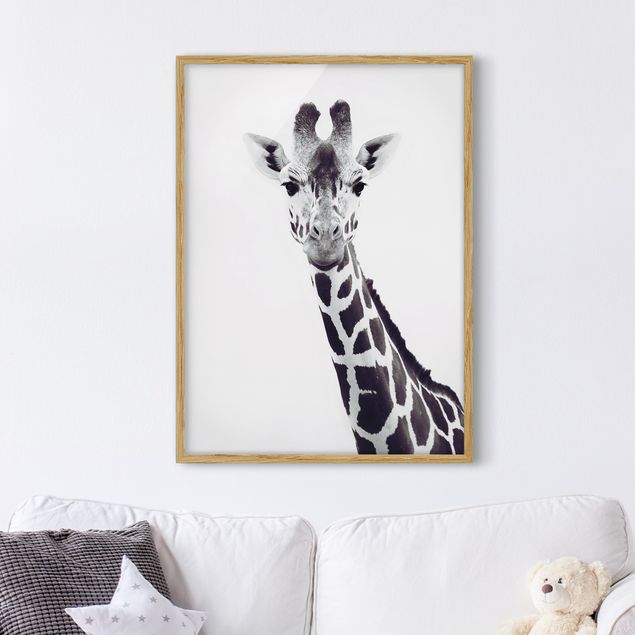 Moderne Bilder mit Rahmen Giraffen Portrait in Schwarz-weiß