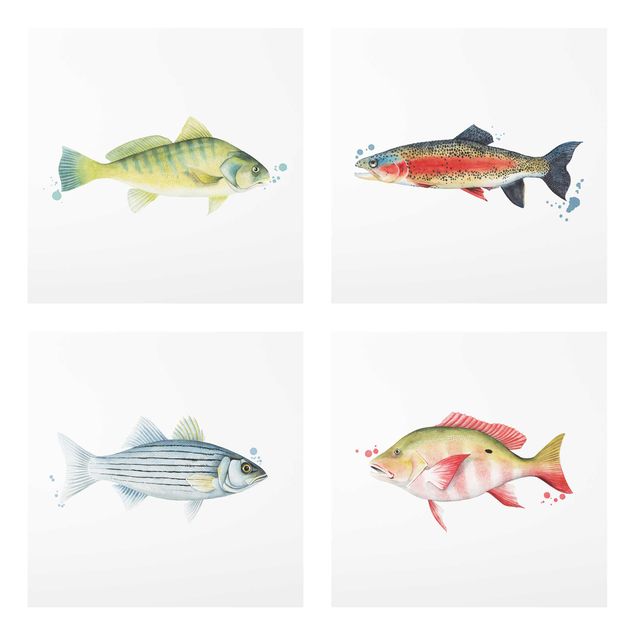 Glas Wandbilder Farbfang - Fische Set I