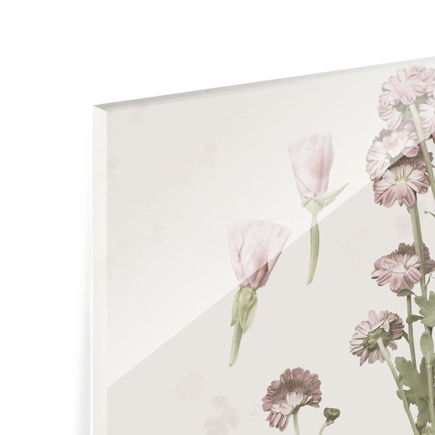 Glasbild mehrteilig - Herbarium in rosa Set I - 4-teilig