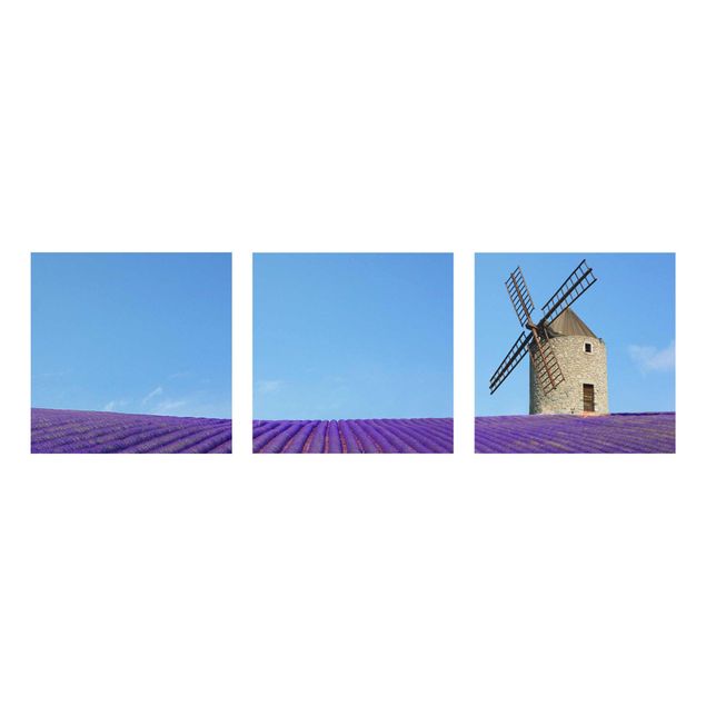 Bilder Lavendelduft in der Provence