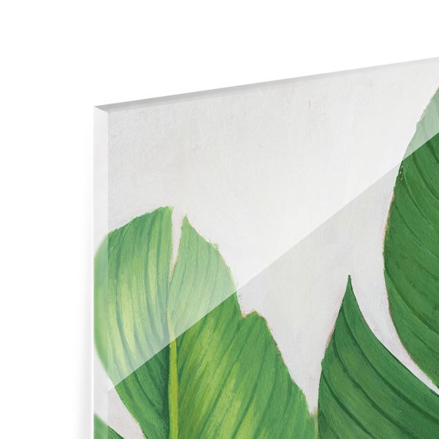 Glasbild mehrteilig - Lieblingspflanzen Tropical Set I - 4-teilig