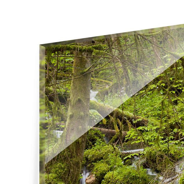 Glasbild mehrteilig - Moosbedeckte Steine Schweiz - 3-teilig