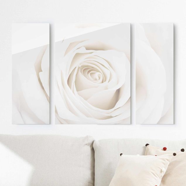 Glasbilder Blumen Pretty White Rose