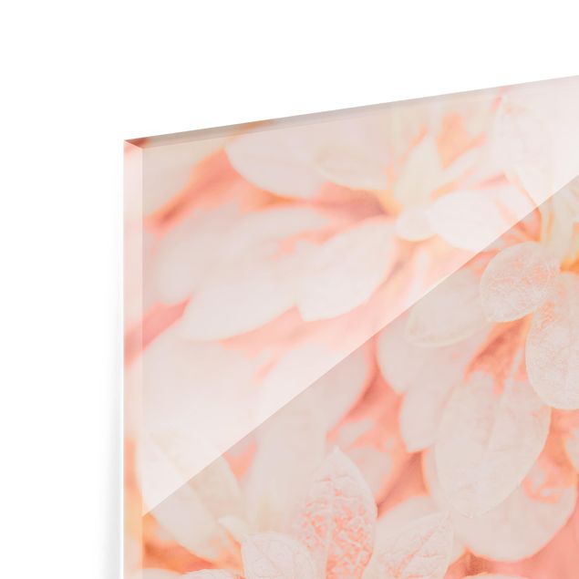 Glasbild mehrteilig - Rosa Blütenzauber - 4-teilig