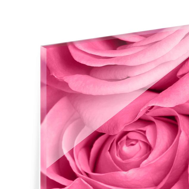 Glasbild mehrteilig - Rosa Rosen - 3-teilig