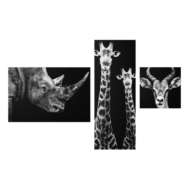 Glas Wandbilder Safari Trilogie I