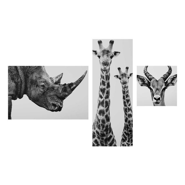 Glas Wandbilder Safari Trilogie II