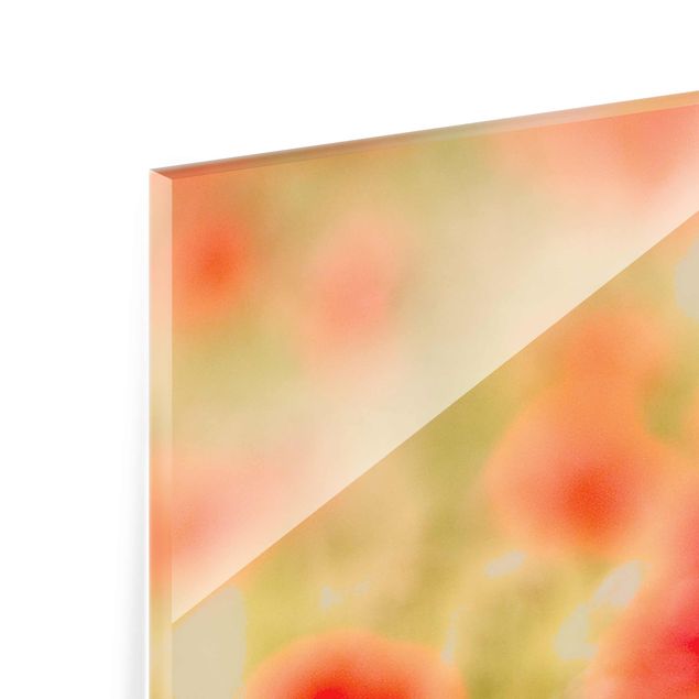 Glasbild mehrteilig - Summer Poppies 3-teilig