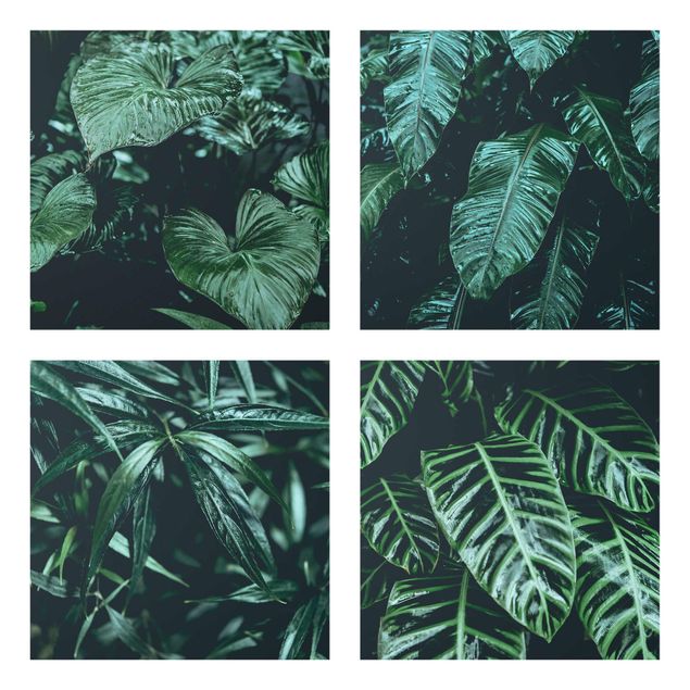 Glas Wandbilder Tropische Pflanzen