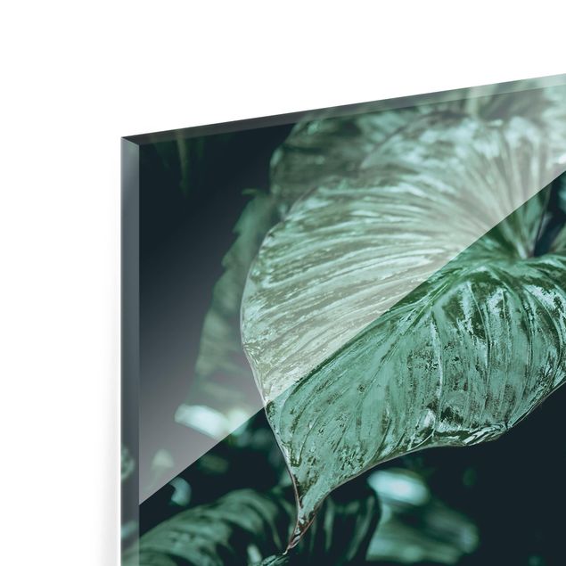 Glasbild mehrteilig - Tropische Pflanzen - 4-teilig
