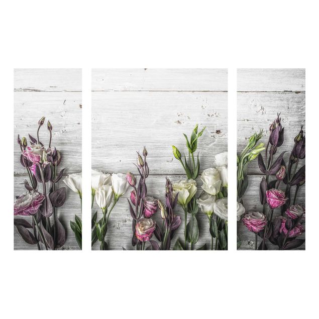 Glasbilder Tulpen-Rose Shabby Holzoptik