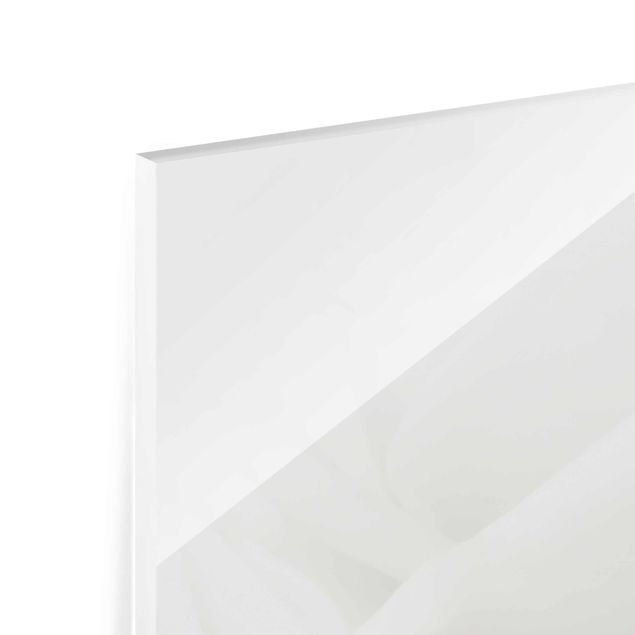 Glasbild mehrteilig - Weiße Rosen 3-teilig