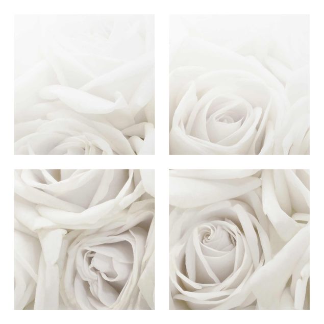 Wandbilder Weiße Rosen
