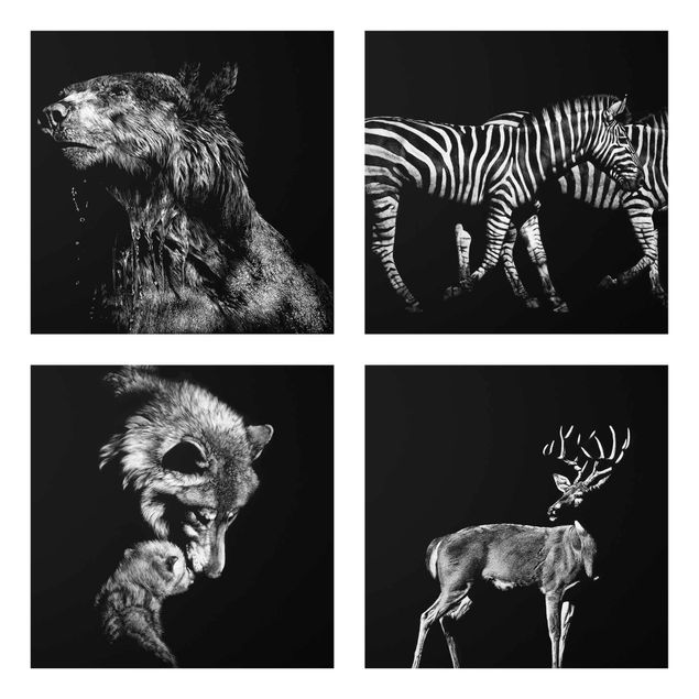 Wandbilder Wildtiere vor Schwarz Set I