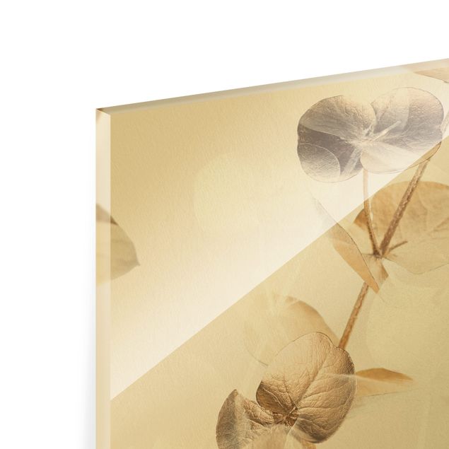 Glasbild - Goldene Eukalyptuszweige mit Weiß I - Quadrat 1:1