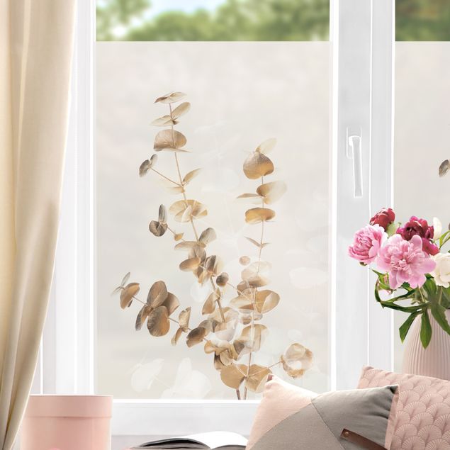 Blumen Fensterbild Goldene Eukalyptuszweige mit Weiß