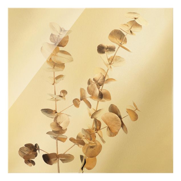 Glasbild - Goldene Eukalyptuszweige - Quadrat 1:1