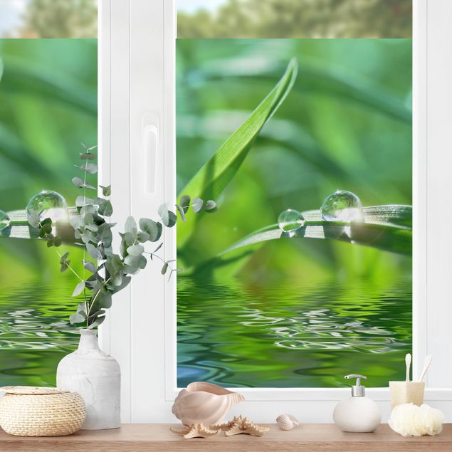 Fensterbilder selbstklebend Blumen Green Ambiance II