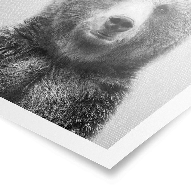 Poster kaufen Grizzlybär Gustel Schwarz Weiß