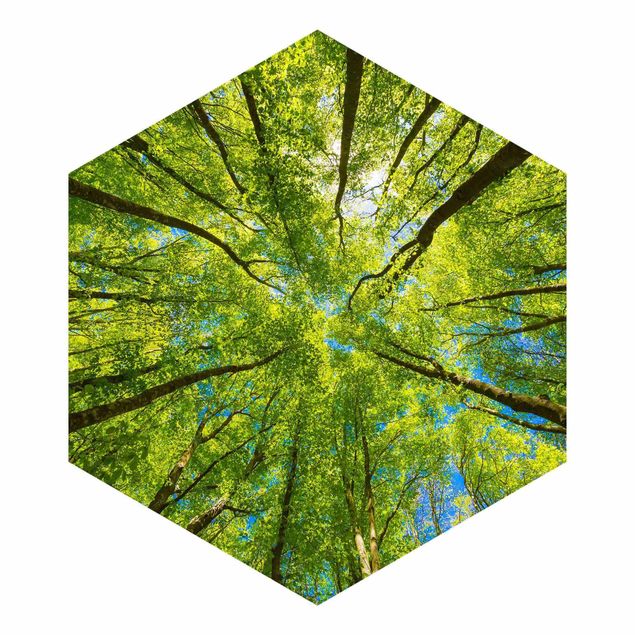 Hexagon Mustertapete selbstklebend - Grüne Baumkronen im Himmel