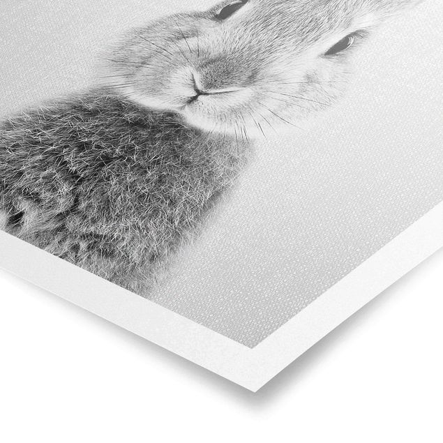 Poster bestellen Hase Hilbert Schwarz Weiß