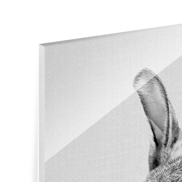 Glasbild - Hase von hinten Schwarz Weiß - Quadrat