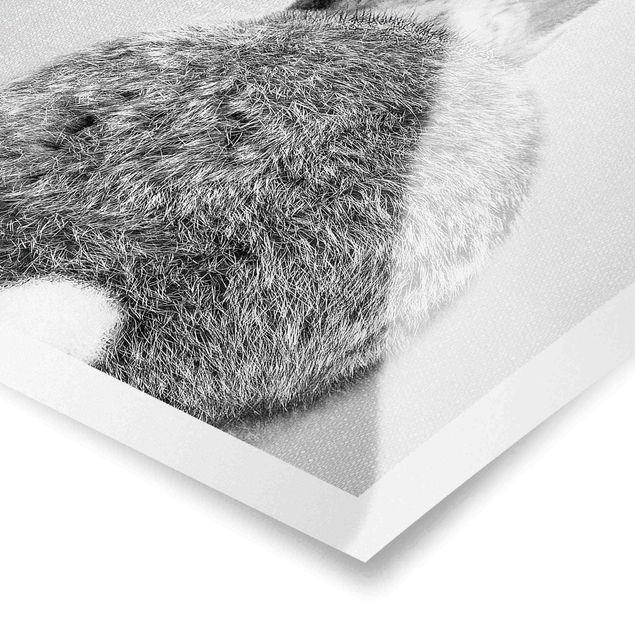 Poster - Hase von hinten Schwarz Weiß - Hochformat 3:4
