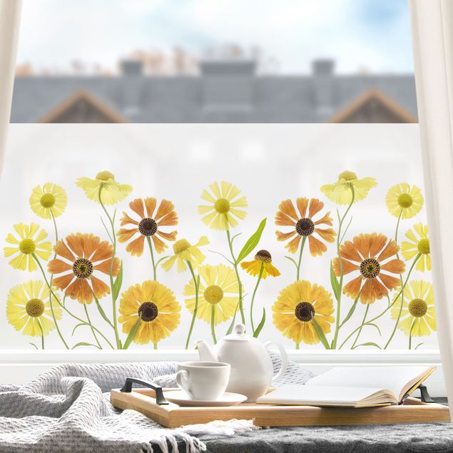 Fensterbilder selbstklebend Blumen Helenium
