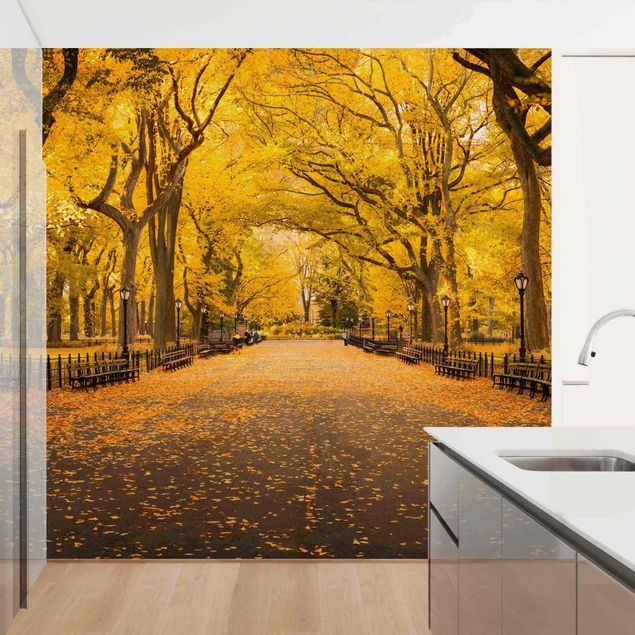 Design Tapeten Herbst im Central Park