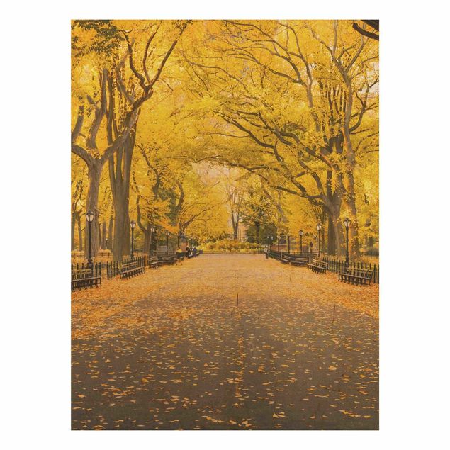 Bilder auf Holz Herbst im Central Park