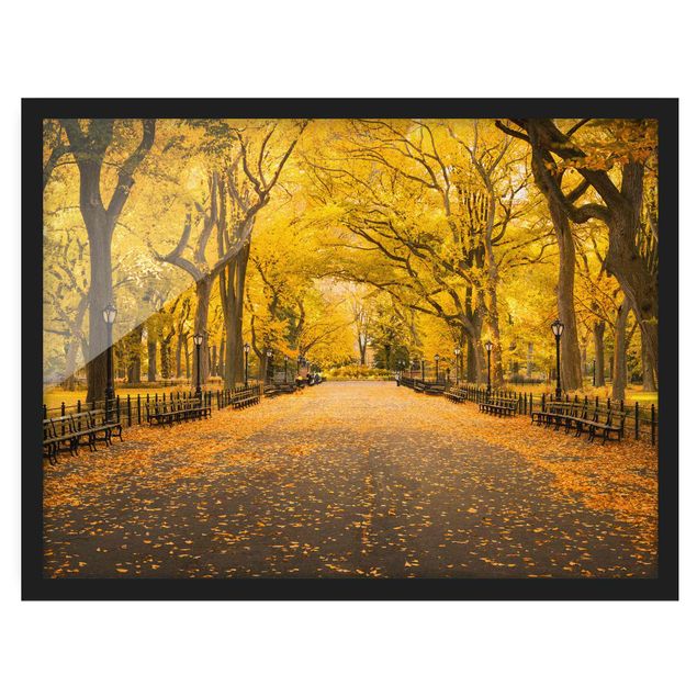 Bild mit Rahmen - Herbst im Central Park - Querformat
