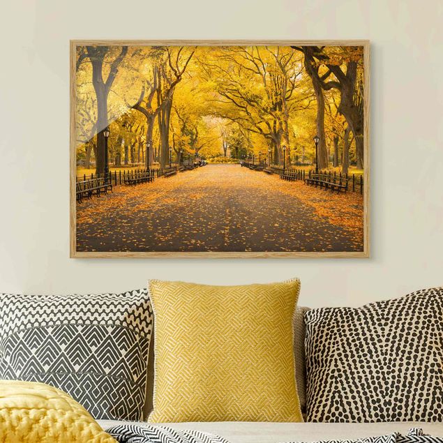 Moderne Bilder mit Rahmen Herbst im Central Park