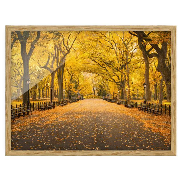 schöne Bilder Herbst im Central Park