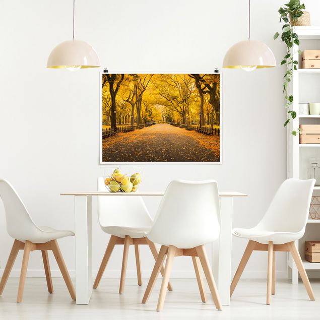 Poster Skyline Herbst im Central Park