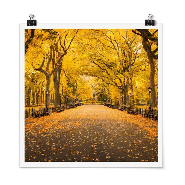 Moderne Poster Herbst im Central Park