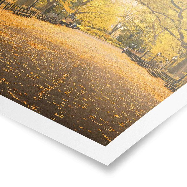 schöne Bilder Herbst im Central Park
