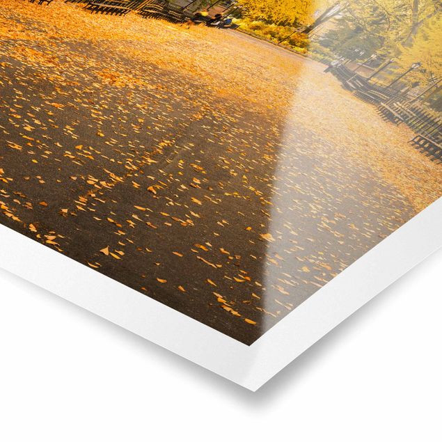 Poster kaufen Herbst im Central Park