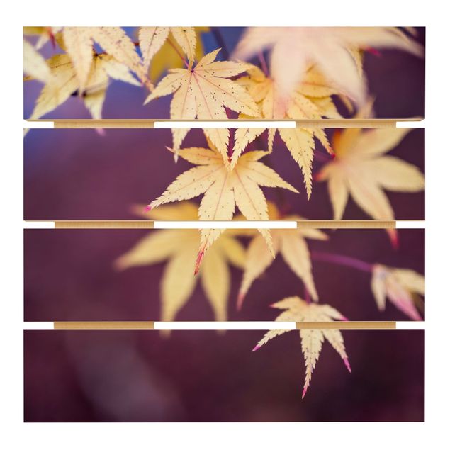 Holzbild - Herbstlicher Ahorn - Quadrat