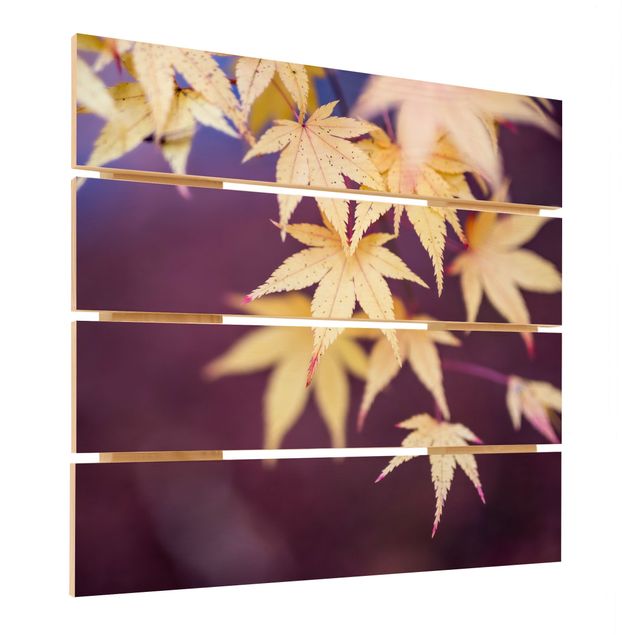 Holzbild - Herbstlicher Ahorn - Quadrat