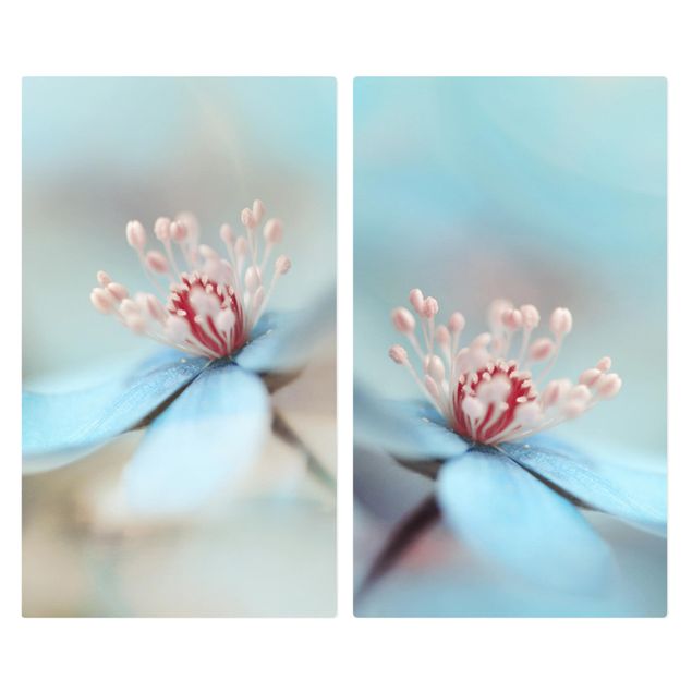 Herdabdeckplatte Glas - Blüten in Hellblau