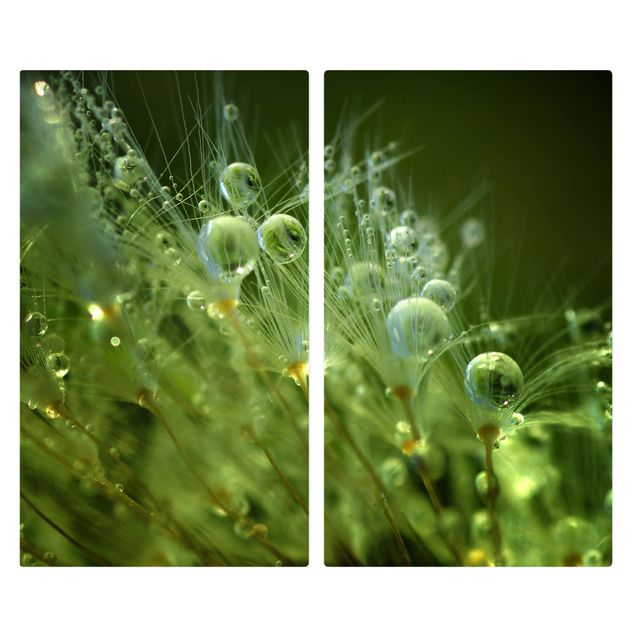 Herdabdeckplatte Glas - Grüne Samen im Regen - 52x60cm
